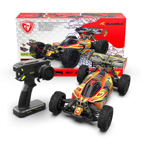 Rlaarlo DSK 1/8 Electric Buggy | India