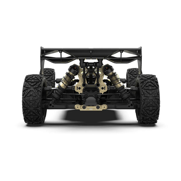 Rlaarlo DSK 1/8 Electric Buggy | India