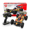 Rlaarlo DSK 1/8 Electric Buggy | India